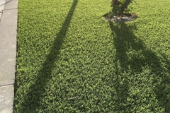 2016-07-05 08.30.51