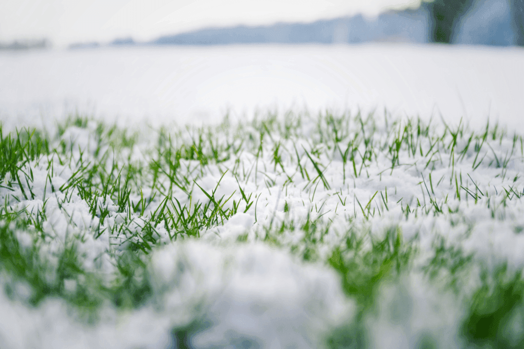 nieve en cesped artificial