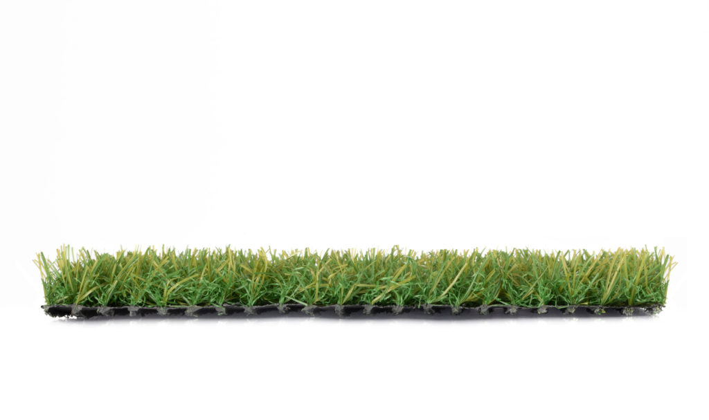 18 Summer Green 02 (N)