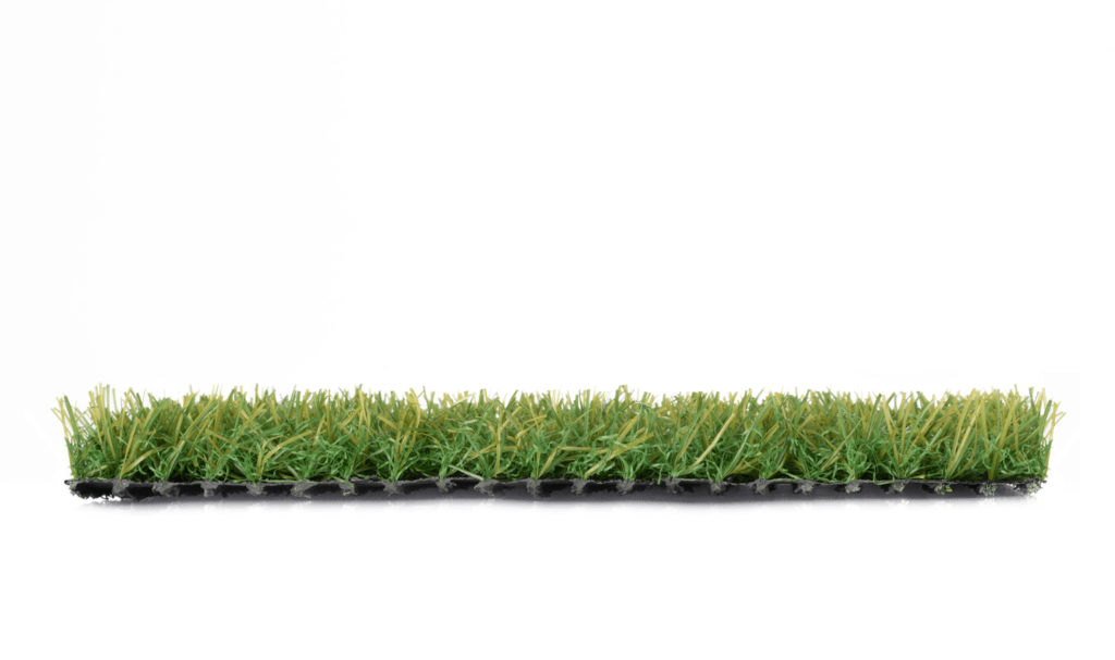 18 Summer Green 02 (N)