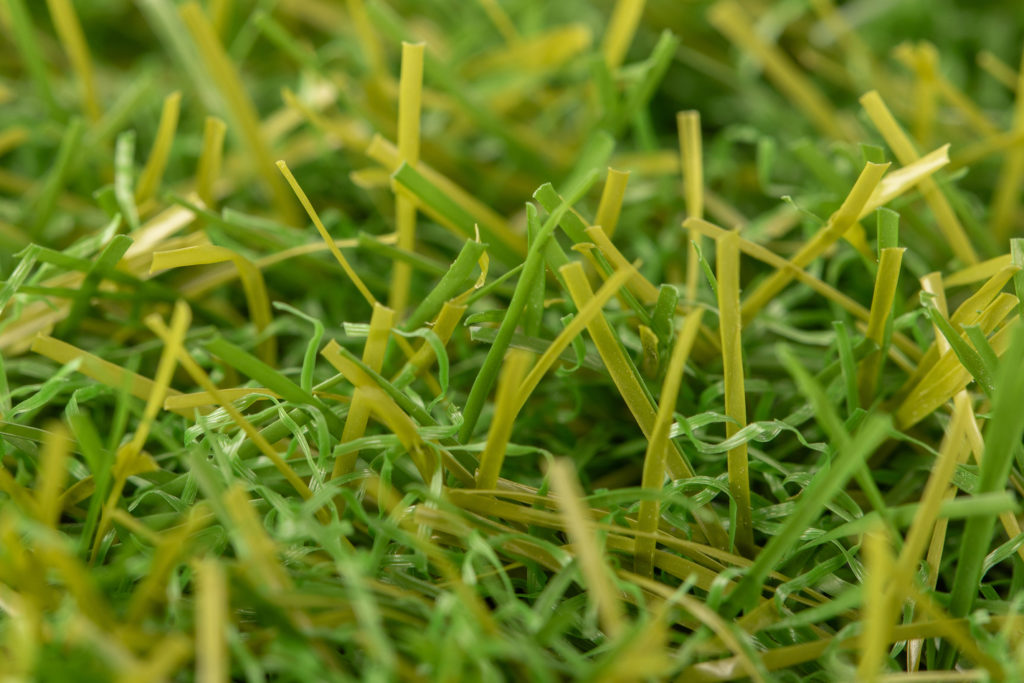 18 Summer Green 03 (N)