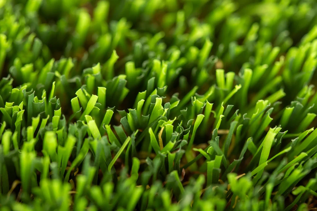 Cesped-artificial-Altea-Prime-03-1