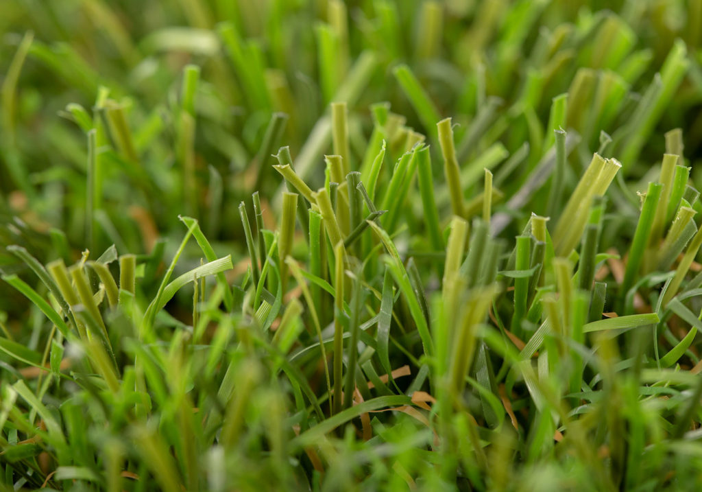 Cesped-artificial-Comfort-02