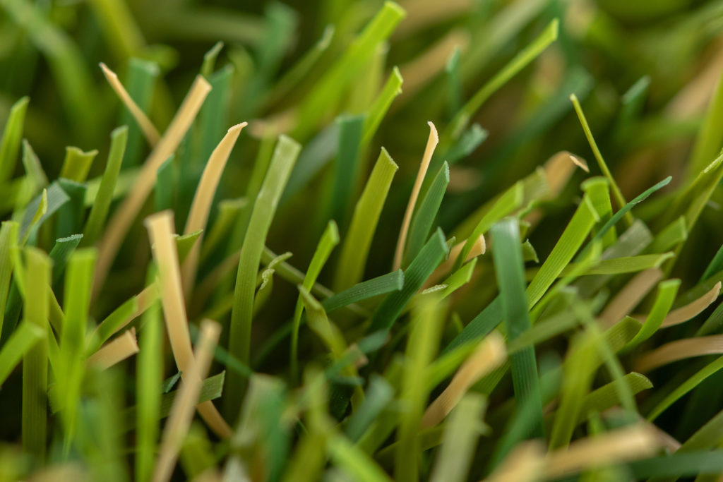 Cesped-artificial-Deluxe-03