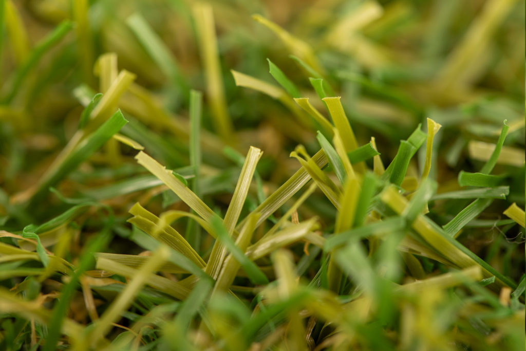 Cesped-artificial-Essence-03