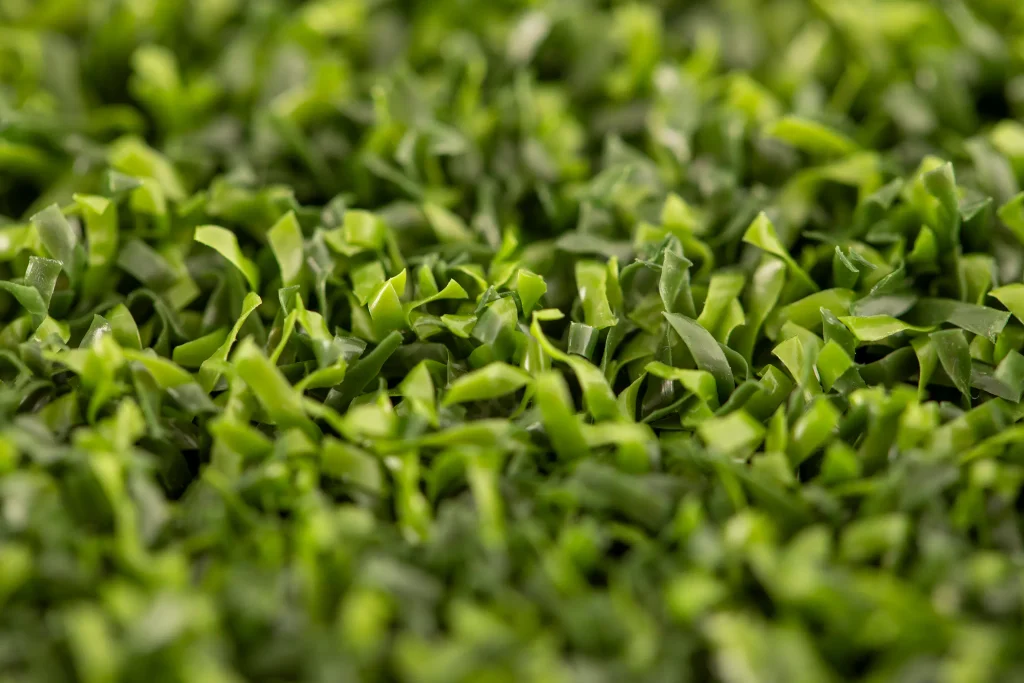 Cesped-artificial-Golf-Putt-03