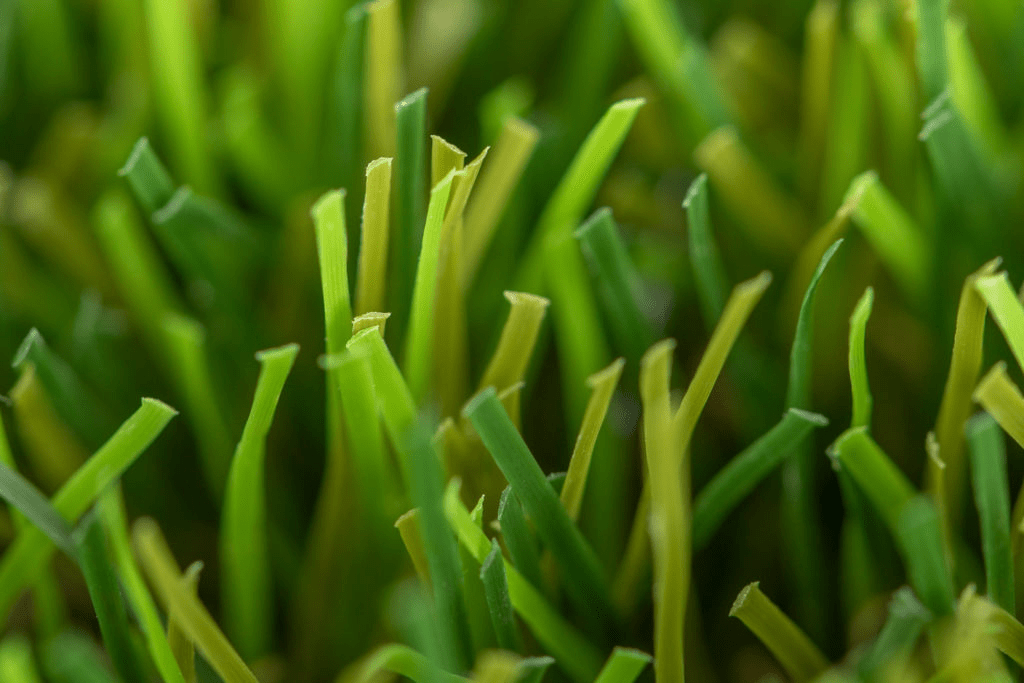 Cesped-artificial-Maximo-03