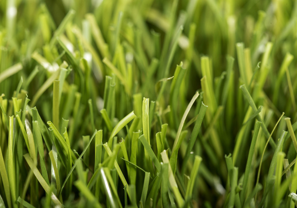 Cesped-artificial-Nature-02