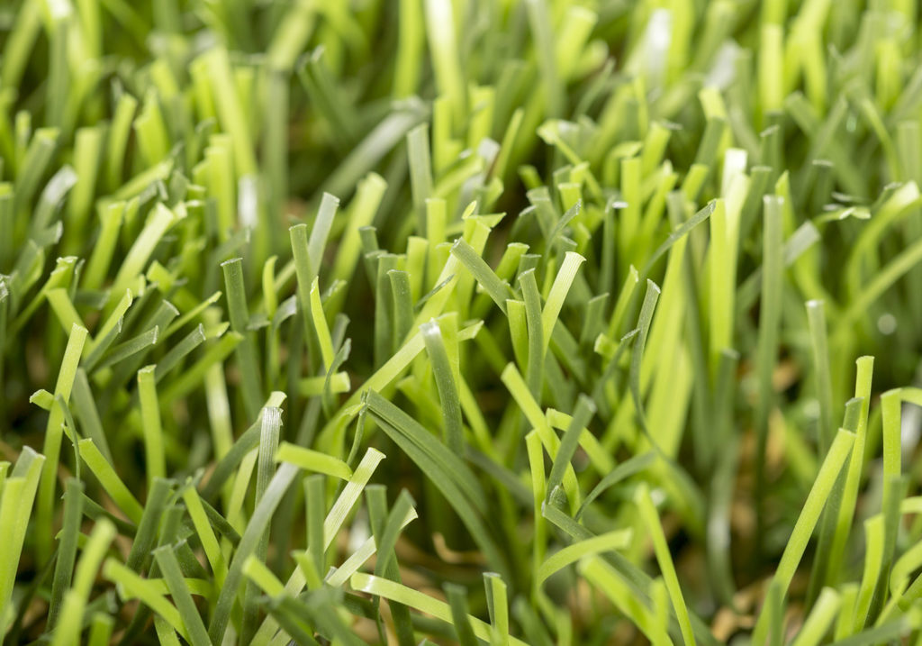 Cesped-artificial-Prive-02