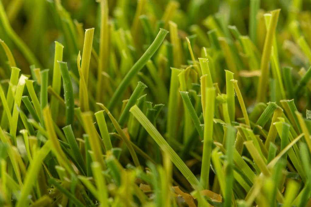 Césped artificial Provenza 03