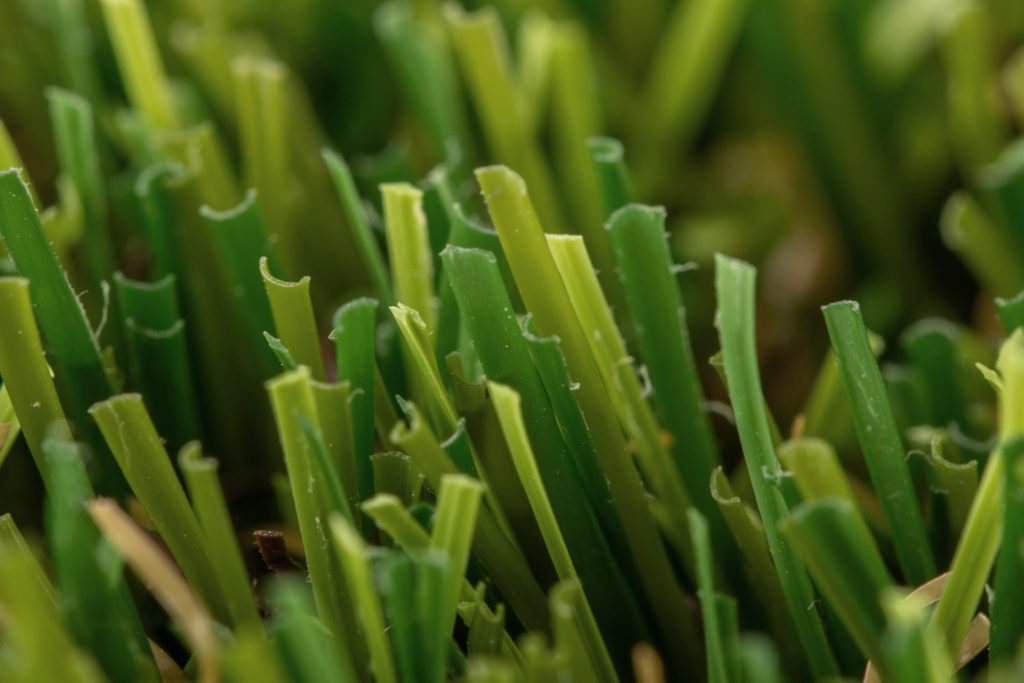 Césped artificial Romeo 03