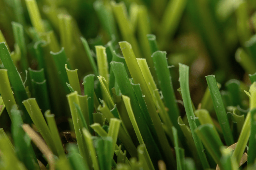 Césped artificial Romeo 03