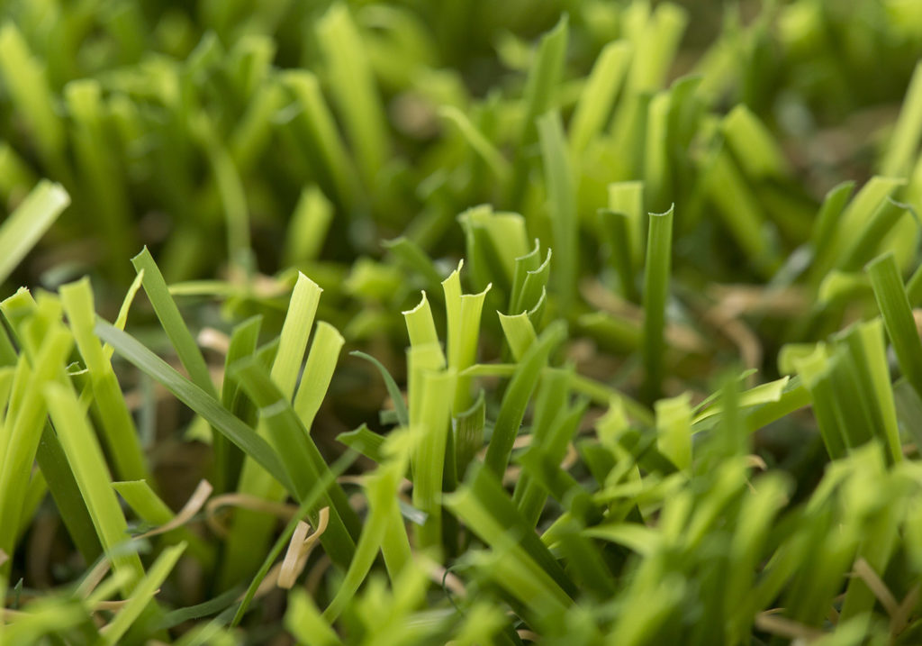 Cesped-artificial-Terrace-02