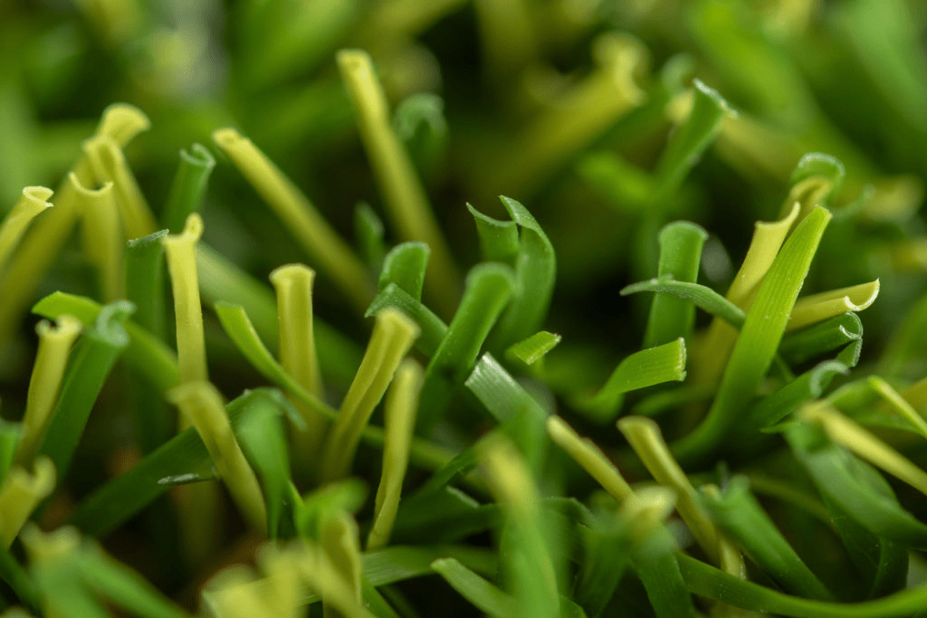 Cesped-artificial-Terranova-03