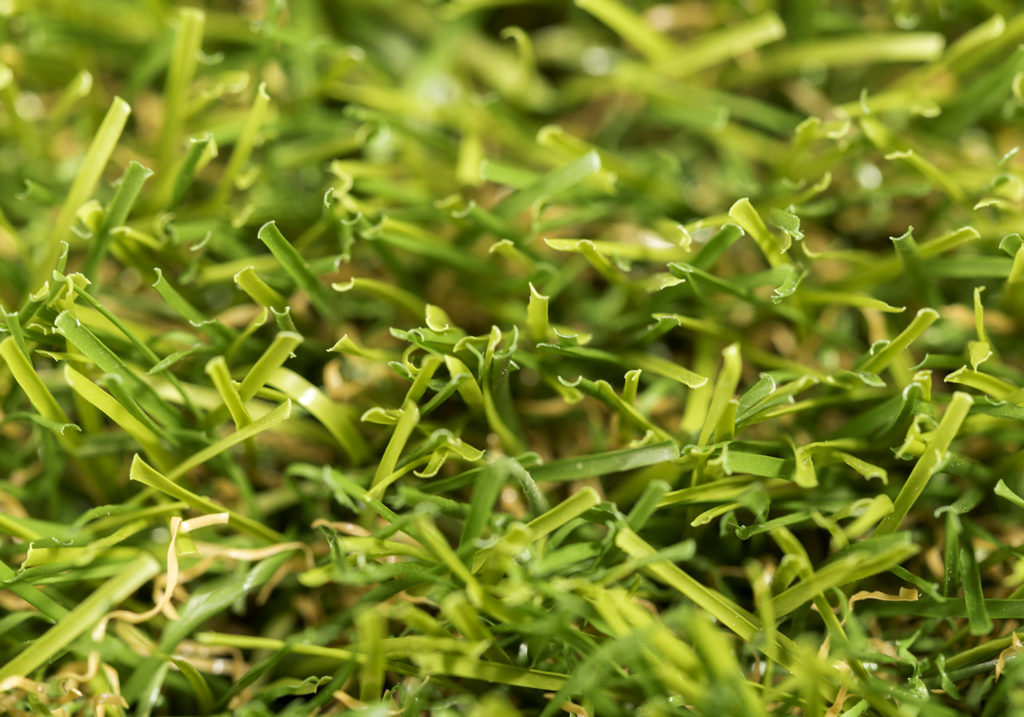 Cesped-artificial-Vita-02