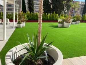 Césped para Jardín 24 IMG-20250131-WA0012