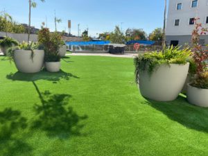 Césped para Jardín 32 IMG-20250131-WA0024