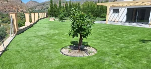 Césped para Jardín 24 Modelo-MASTER-Melegis-2023-1-1