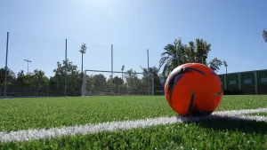 Césped Deportivo 22 cesped apra futbol