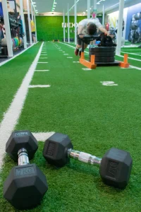 Césped Deportivo 23 cesped artificial gimnasio
