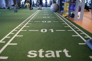 Césped Deportivo 33 gimnasio